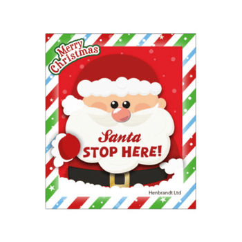 Christmas Mini Notepad