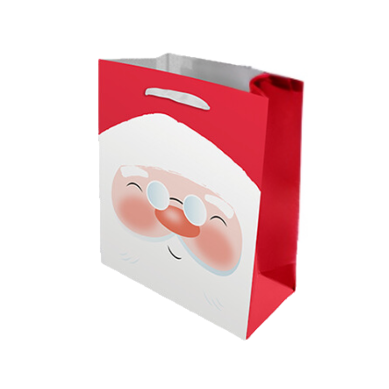 Medium Christmas Gift Bag - Santa