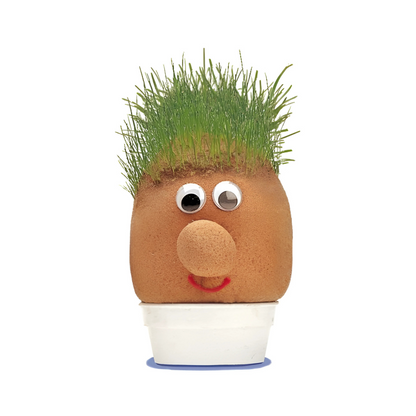 Mr Grass Head 