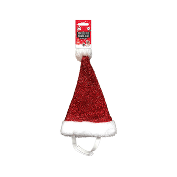 Pet Santa Hat