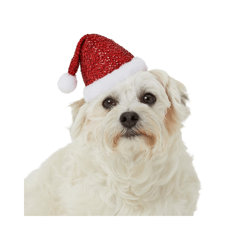 Pet Santa Hat